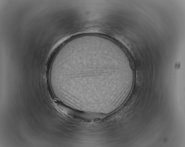 X0000097631452200803281048