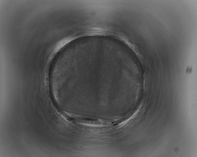 X0000097631453200803281048