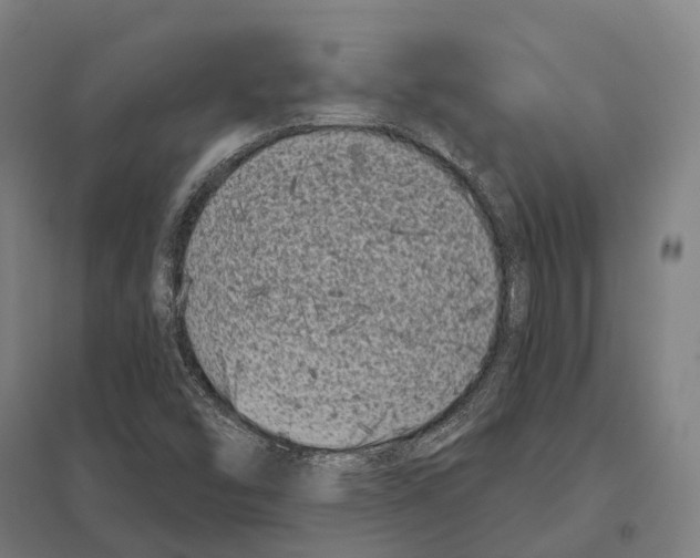 X0000097631454200803281048