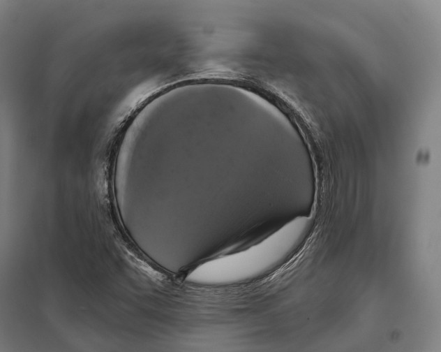 X0000097631455200803281048