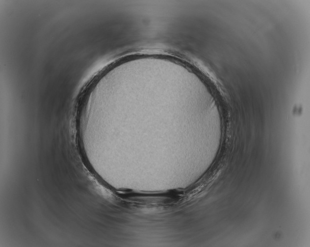 X0000097631456200803281048