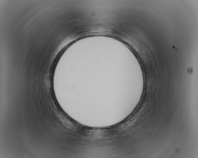 X0000097631458200803281048