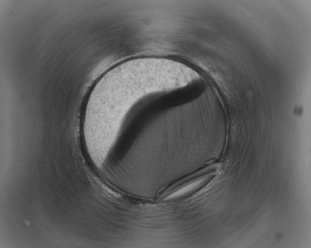 X0000097631459200803281048