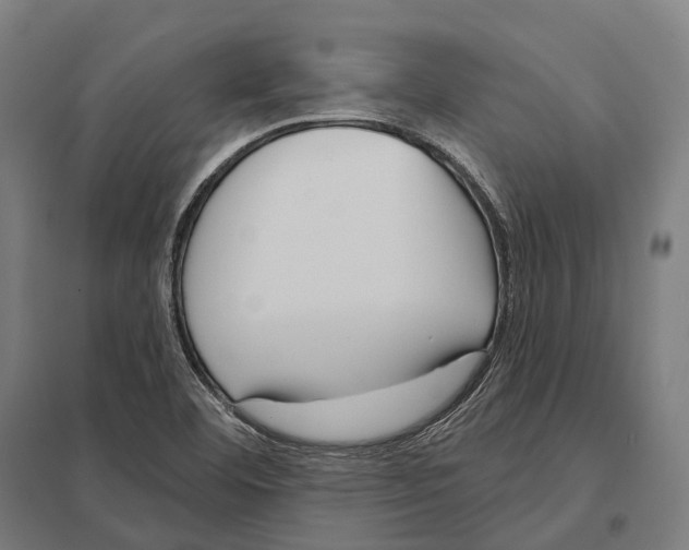 X0000097631460200803281048