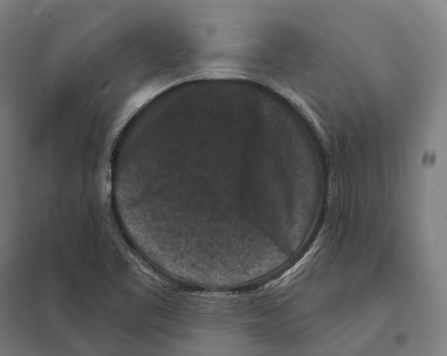 X0000097631461200803281048