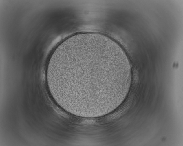 X0000097631462200803281048