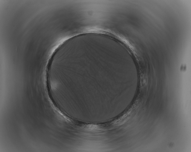 X0000097631463200803281048