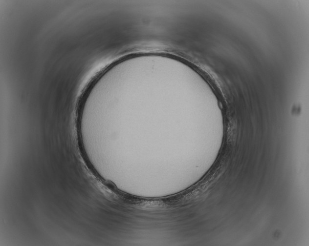 X0000097631464200803281048