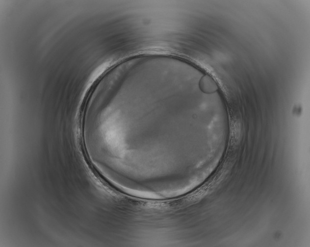 X0000097631466200803281048