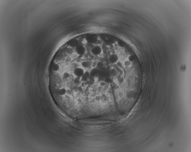 X0000097631467200803281048