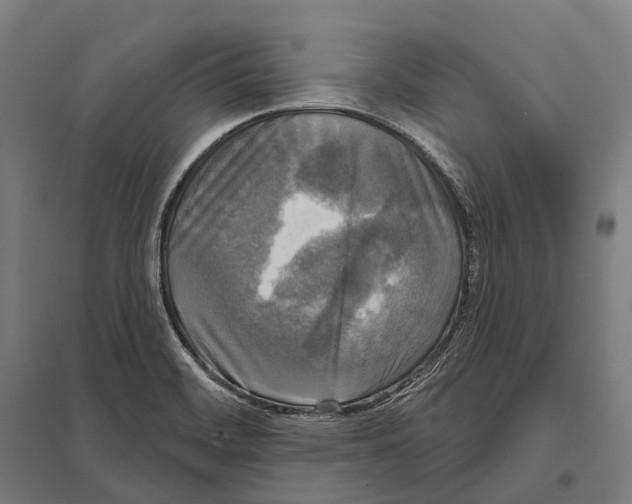 X0000097631468200803281048