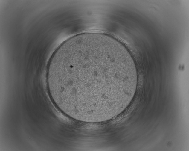 X0000097631470200803281048