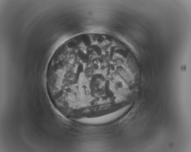 X0000097631471200803281048