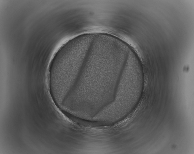 X0000097631472200803281048