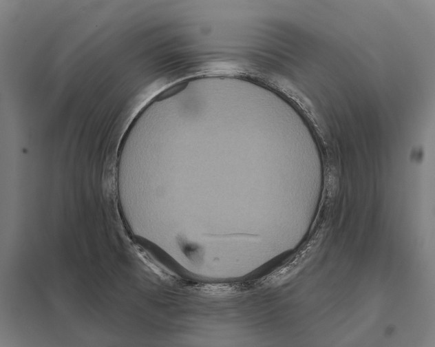 X0000097631473200803281048