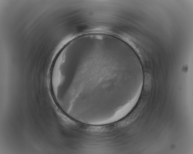 X0000097631474200803281048