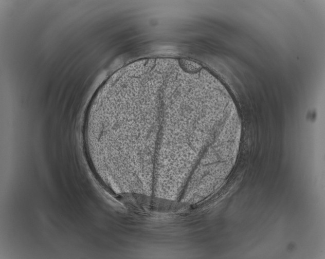X0000097631475200803281048