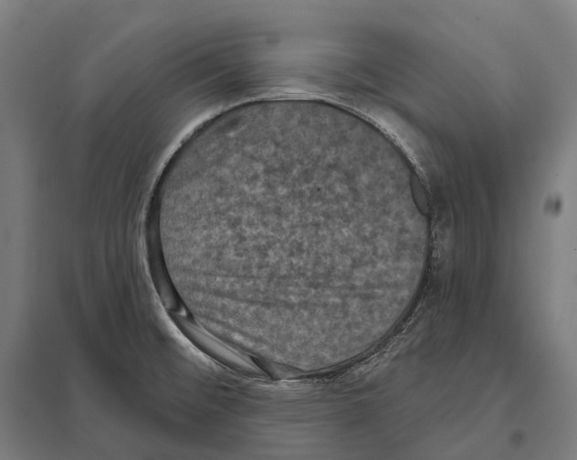 X0000097631476200803281048