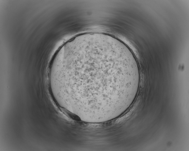 X0000097631477200803281048