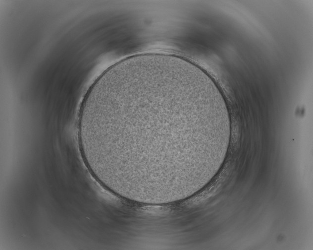 X0000097631478200803281048