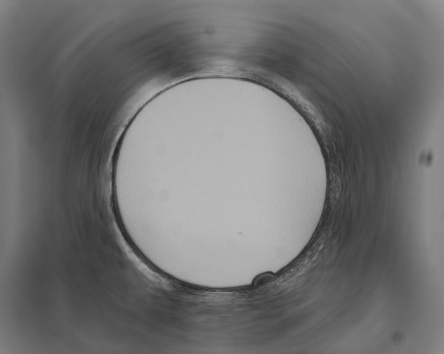 X0000097631479200803281048