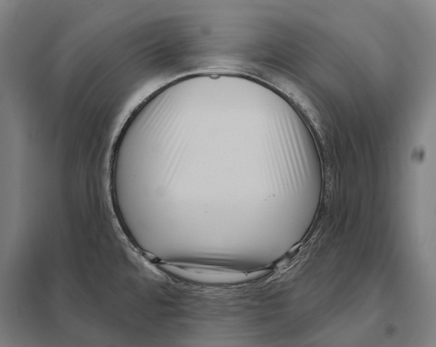 X0000097631480200803281048