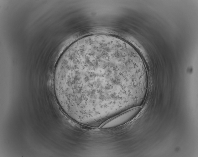 X0000097631481200803281048