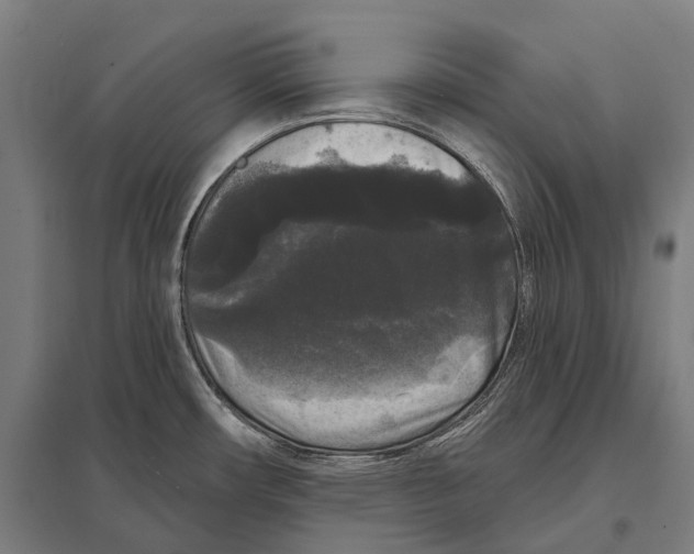 X0000097631482200803281048