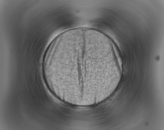 X0000097631483200803281048