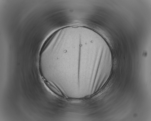 X0000097631484200803281048