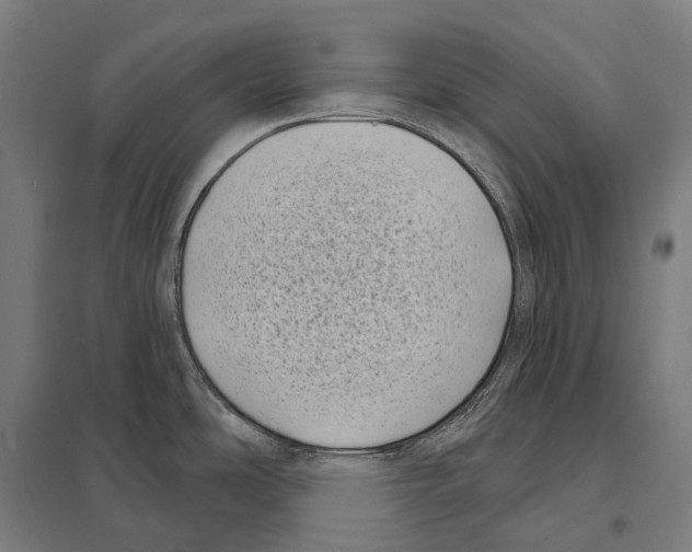 X0000097631486200803281048