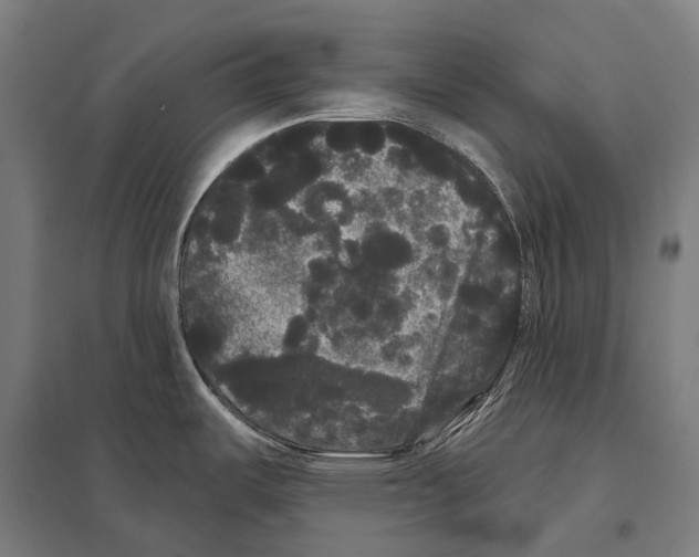 X0000097631487200803281048