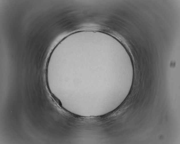 X0000097631488200803281048