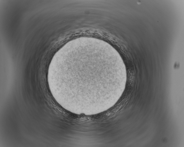 X0000097631489200803281047