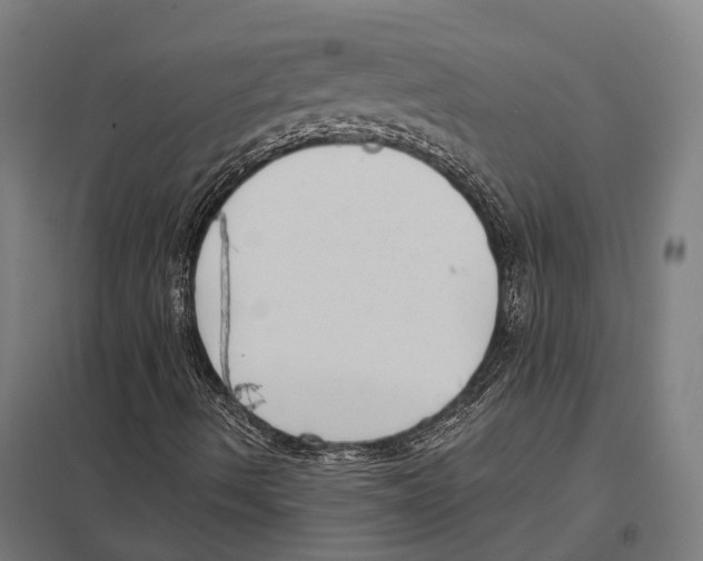 X0000097631490200803281047