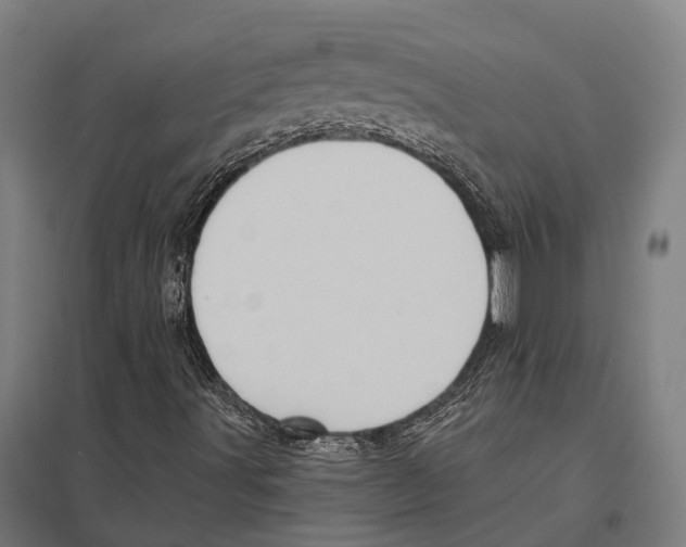 X0000097631491200803281047