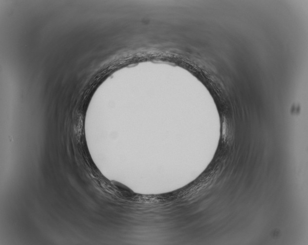 X0000097631492200803281047