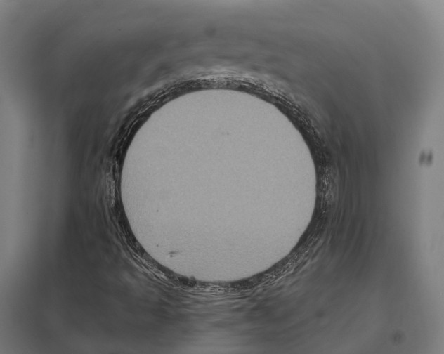 X0000097631493200803281047