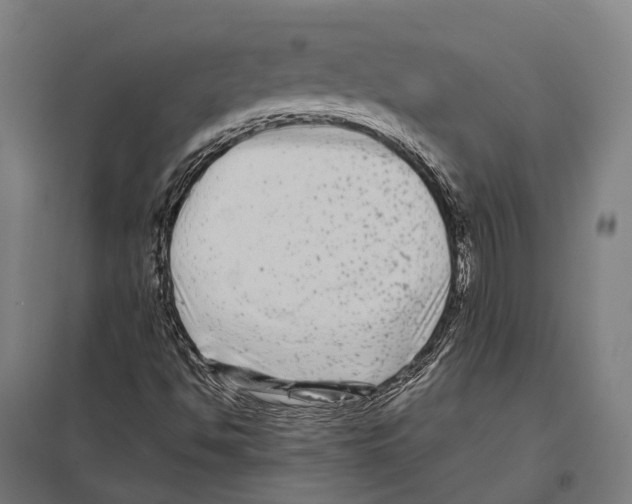 X0000097631494200803281047