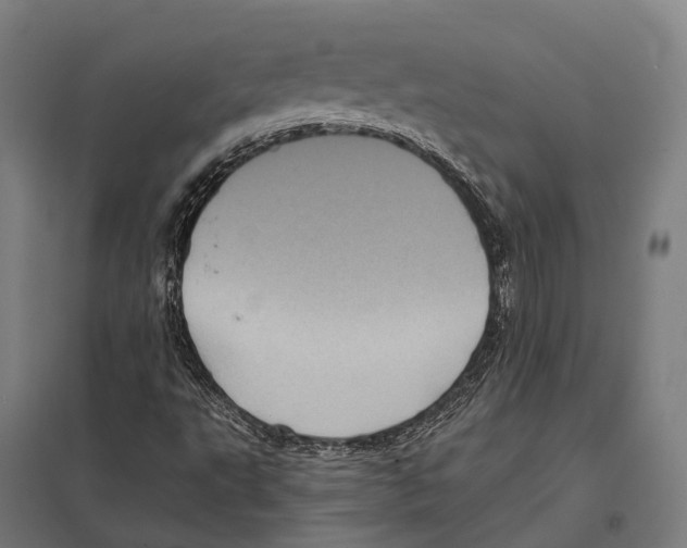 X0000097631495200803281047