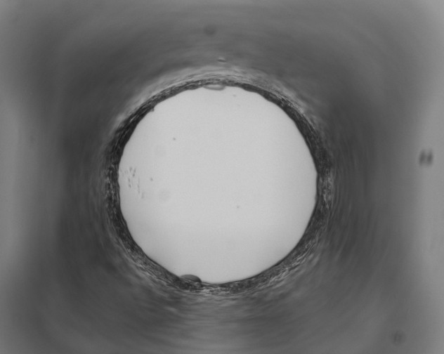 X0000097631496200803281047