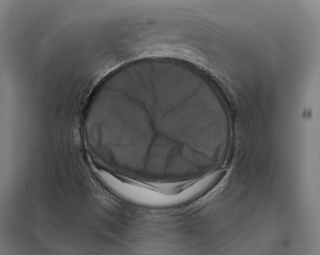 X0000097631497200803281047