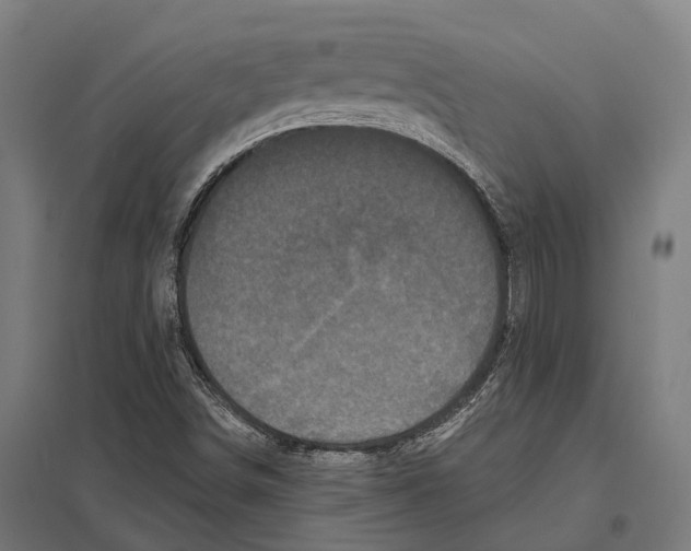 X0000097631498200803281047