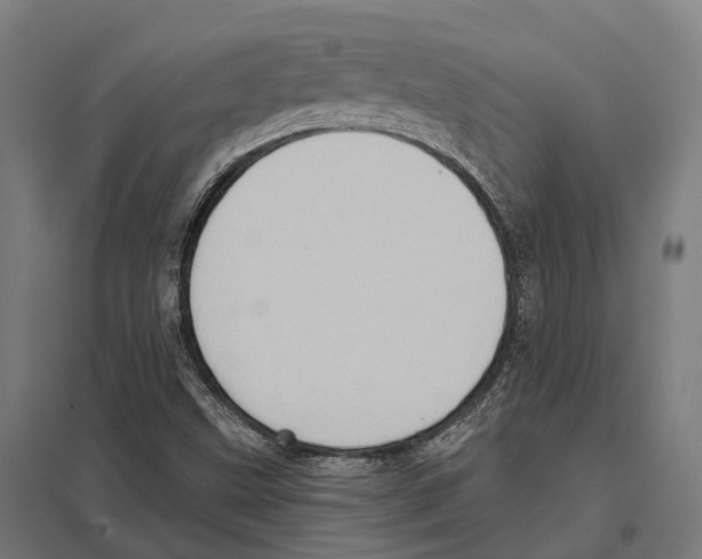 X0000097631499200803281047