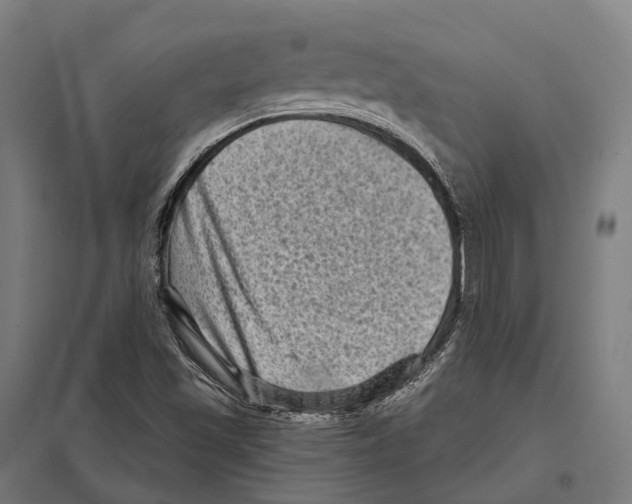 X0000097631501200803281047