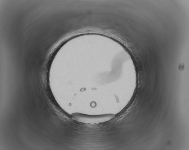 X0000097631502200803281047