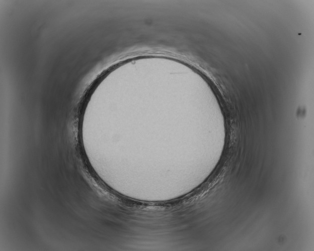 X0000097631503200803281047