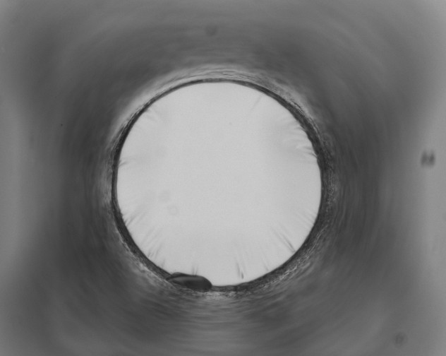 X0000097631504200803281047