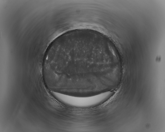 X0000097631505200803281047