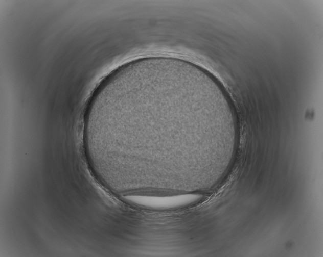 X0000097631507200803281047